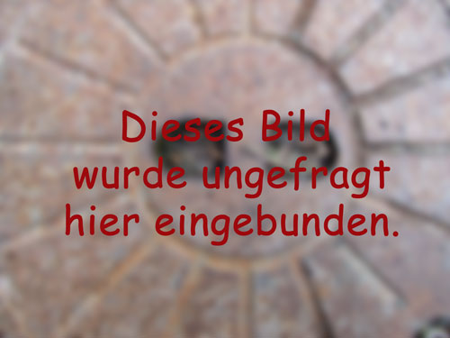 Zauberparty mit Zauberschule